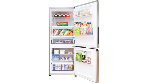 10024927-TL-PANASONIC-NR-BV288XSVN-_255L_-01