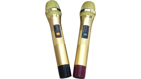 Loa kéo BN Audio BA 800V micro