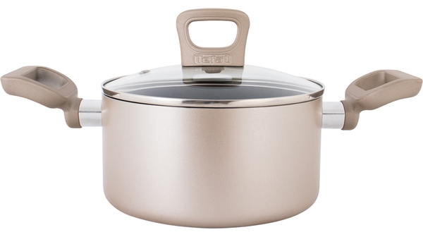 noi-chong-dinh-tefal-sensation-1