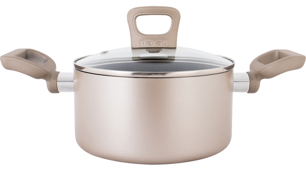 noi-chong-dinh-tefal-sensation-1