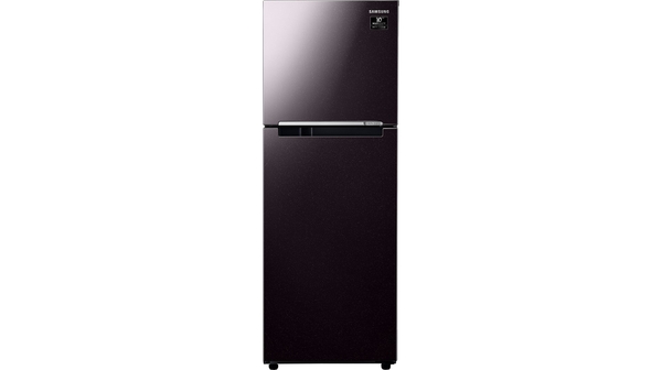 Tủ lạnh Samsung Inverter 236 lít RT22M4032BY mặt chính diện