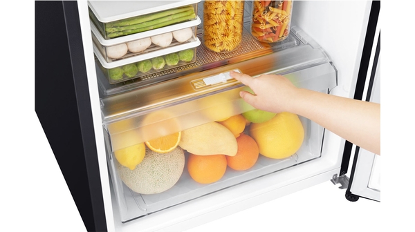 tu-lanh-lg-inverter-187l-gn-l205wb-3