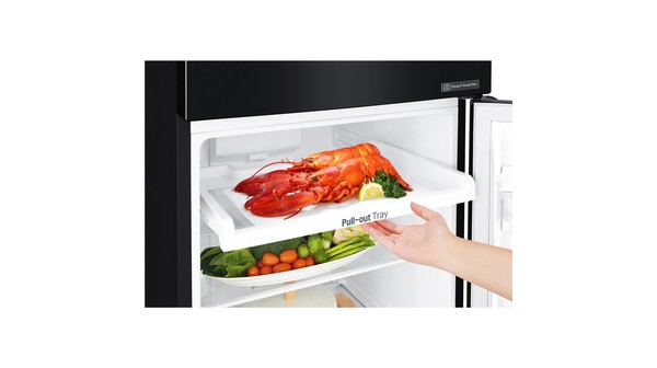 tu-lanh-lg-inverter-209l-gn-b222wb-8