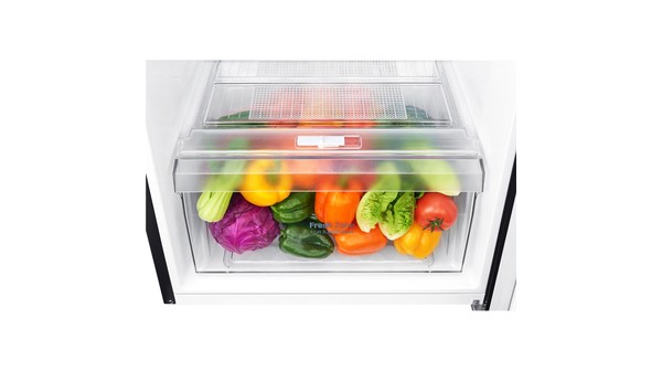 tu-lanh-lg-inverter-209l-gn-b222wb-9