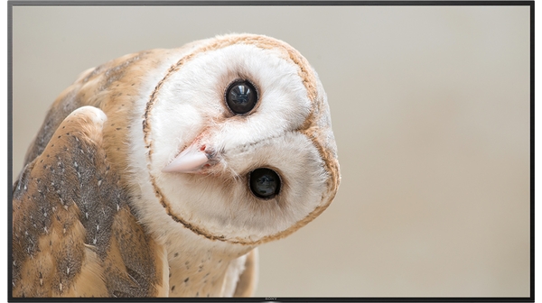 Android Tivi Sony 4K 75 inch KD-75X8050H VN3 mặt chính diện không chân đế