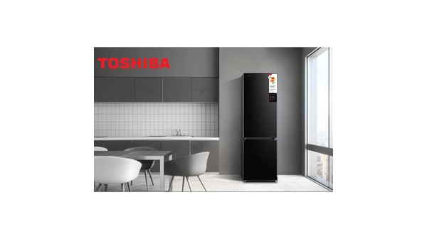 Tủ lạnh Toshiba Inverter 270 lít GR-RB350WE-PMV(30)-BS tổng quan