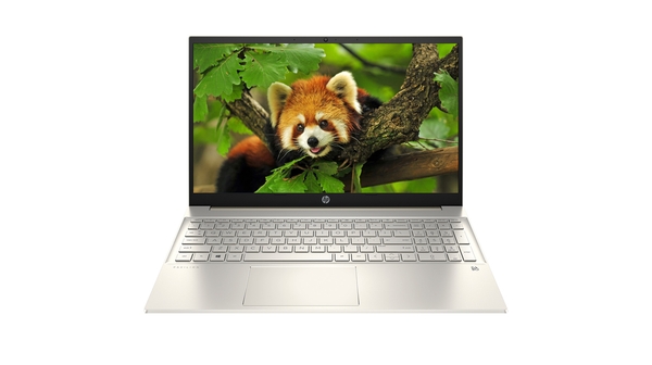 Laptop HP Pavilion 15-EG0009TU i3-1115G4 15.6 inch 2D9K6PA mặt chính diện