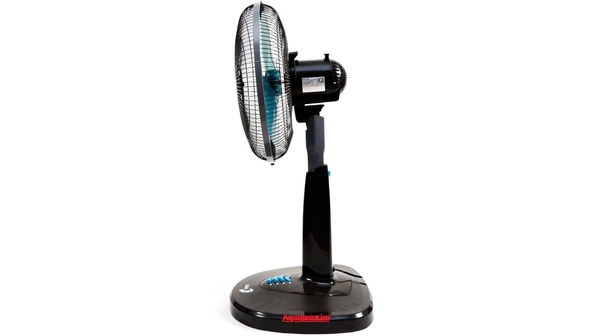 quat-lung-asia-a16011-01