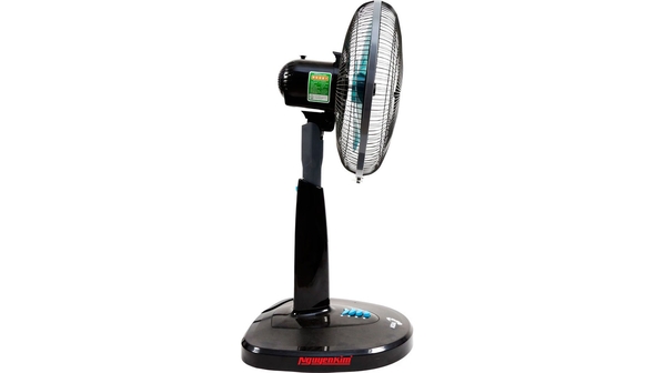 quat-lung-asia-a16011-02