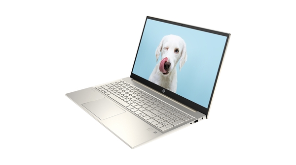 Laptop HP Pavilion 15-EG0504TU i7-1165G7 15.6 inch 46M00PA mặt nghiêng phải