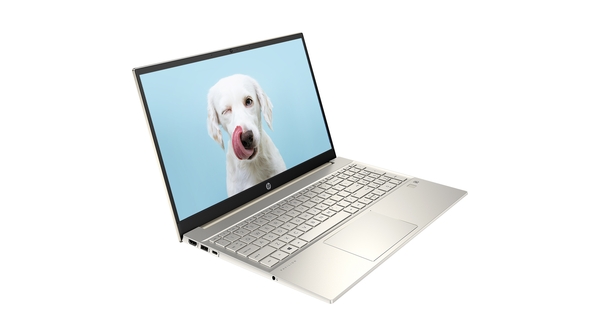 Laptop HP Pavilion 15-EG0504TU i7-1165G7 15.6 inch 46M00PA mặt nghiêng trái