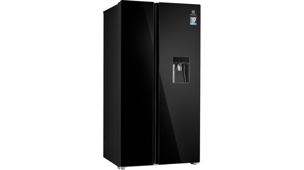 Tủ lạnh Electrolux Inverter 619 lít ESE6645A-BVN mặt nghiêng trái