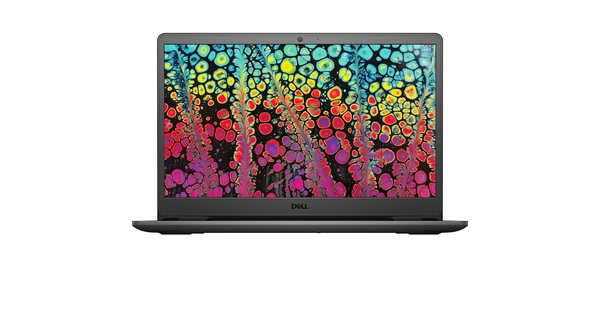 Laptop Dell Inspiron 3505 R5-3500U Y1N1T5 mặt chính diện