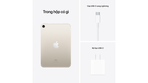 iPad Mini 6 Wifi Cellular 64GB 8.3 inch MK8C3ZA/A Trắng (2021) bộ phụ kiện