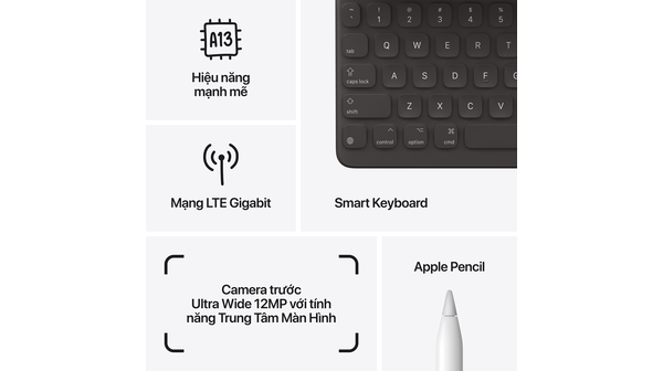 iPad Gen 9 Wifi Cellular 256GB 10.2 inch MK4H3ZA/A Bạc (2021) thông tin