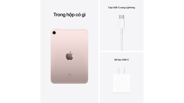 iPad Mini 6 Wifi Cellular 256GB 8.3 inch MLX93ZA/A Hồng (2021) bộ phụ kiện kèm