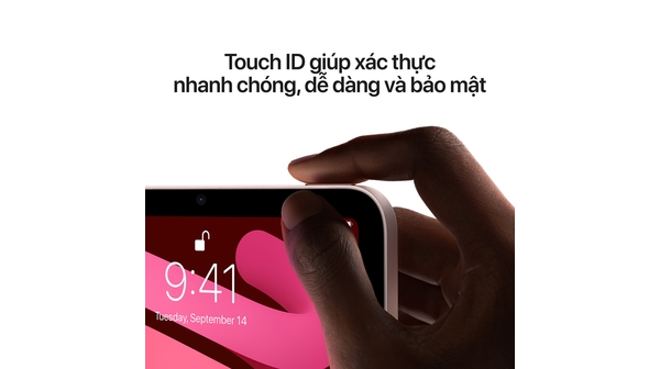 iPad Mini 6 Wifi Cellular 256GB 8.3 inch MLX93ZA/A Hồng (2021) touch ID