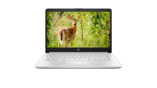 Laptop HP 14S-CF2527TU i3-10110U (4K4A1PA) mặt chính diện