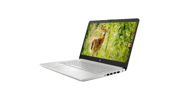 Laptop HP 14S-CF2527TU i3-10110U (4K4A1PA) mặt nghiêng trái