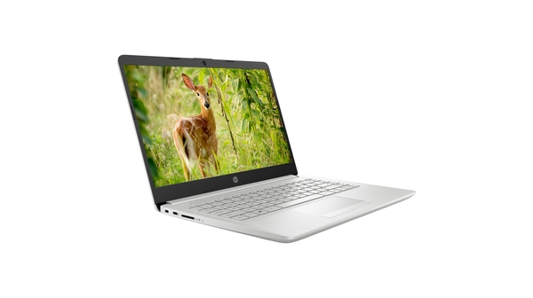 Laptop HP 14S-CF2527TU i3-10110U (4K4A1PA) mặt nghiêng trái