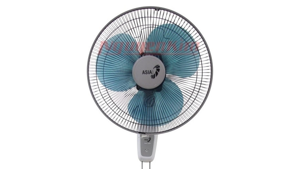 quat-treo-asia-l16017x-1