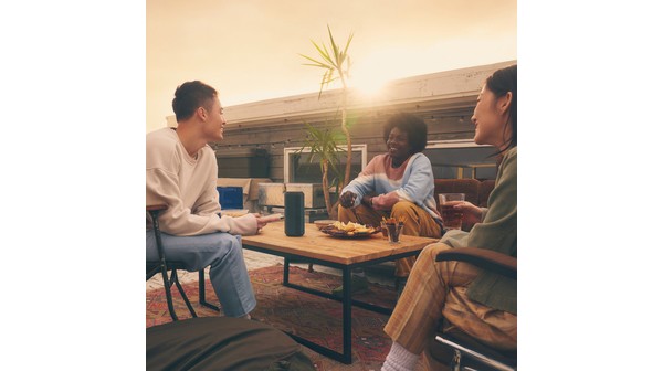 Loa di động Sony SRS-XE300 Đen tổng quan