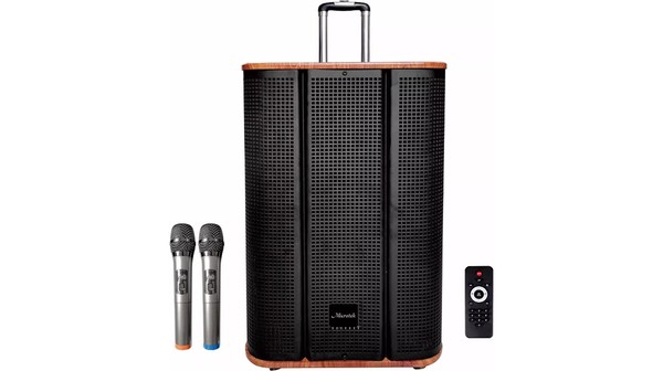 Loa kéo Microtek MTK 12-02 chính diện