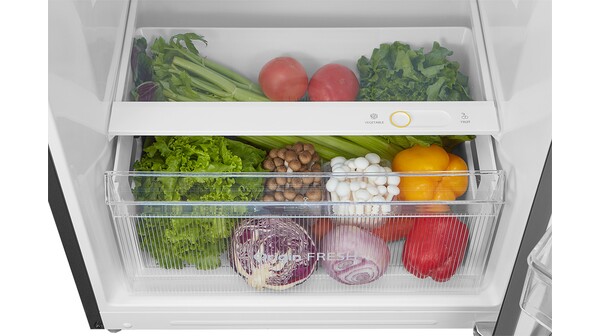 Tủ lạnh Toshiba Inverter 338 lít GR-RT468WE-PMV(58)-MM