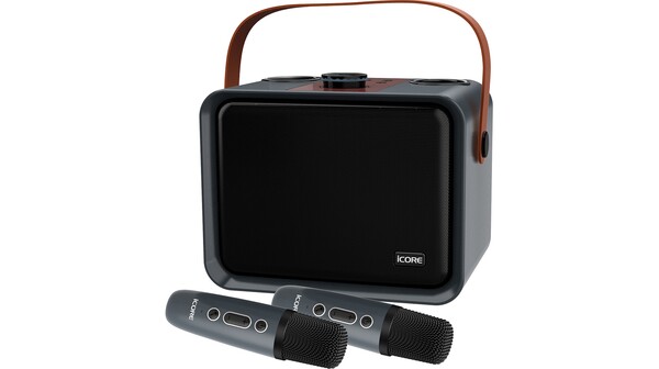 Bộ loa karaoke Icore ISM09