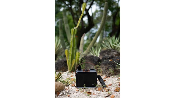 Bộ loa karaoke Icore ISM09