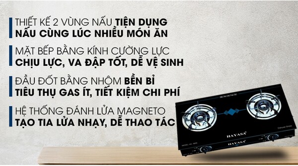 Bếp gas đôi Hayasa HA-8095