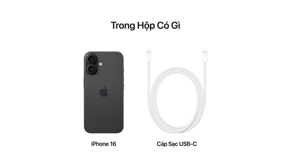 V-IPHONE-16-DEN2