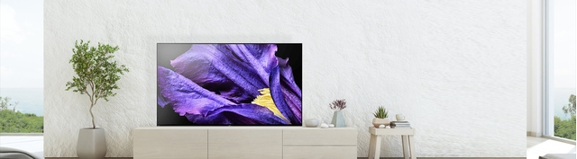 OLED-SONY_65A9F_01_Premium