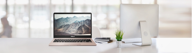 10038248_MTXT_ASUS_ZENBOOK-UX331UAL-EG020TS_01_Premium