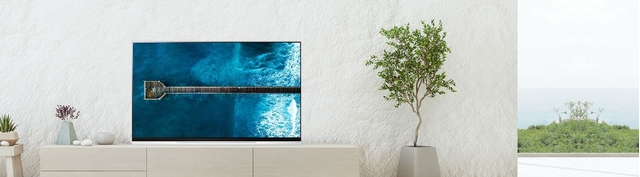 smart-tivi-lg-4k-55-inch-oled55e9pta-p1