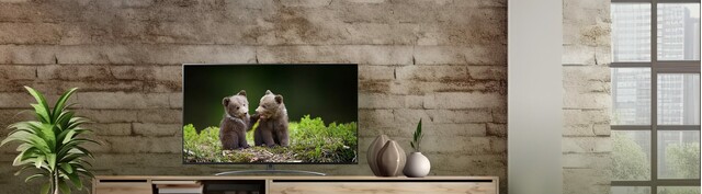 Smart Tivi NanoCell LG 4K 55 inch 55NANO86TNA mặt chính diện