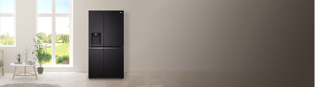 Tủ lạnh LG Inverter 635 lít GR-D257WB mặt chính diện