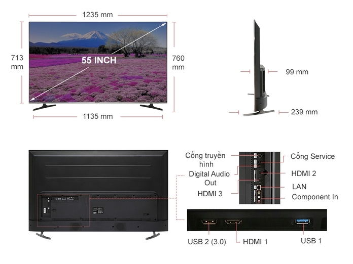 TIVI PANASONIC 55 INCH TH-55FX650V
