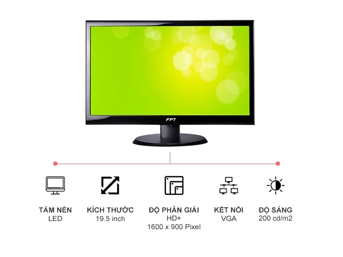 MÀN HÌNH VI TÍNH FPT ELEAD 19.5" LED F20RAA