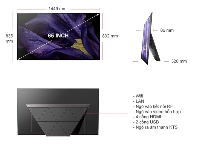 TIVI OLED SONY 65 INCH 65A9F