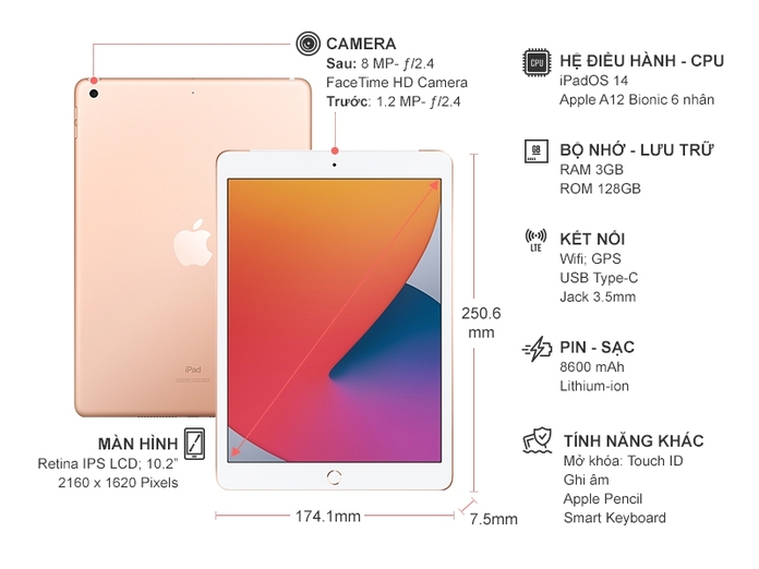 Máy tính bảng iPad 10.2 inch Wifi 128GB MYLF2ZA/A Vàng (2020)