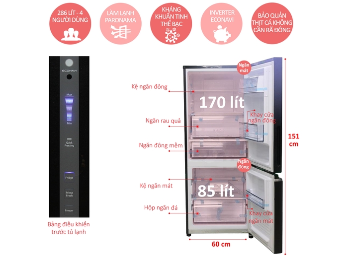 TỦ LẠNH PANASONIC 255 LÍT NR-BV288GKVN