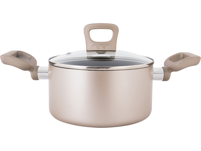 noi-chong-dinh-tefal-sensation-1