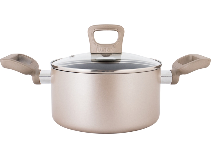 noi-chong-dinh-tefal-sensation-1