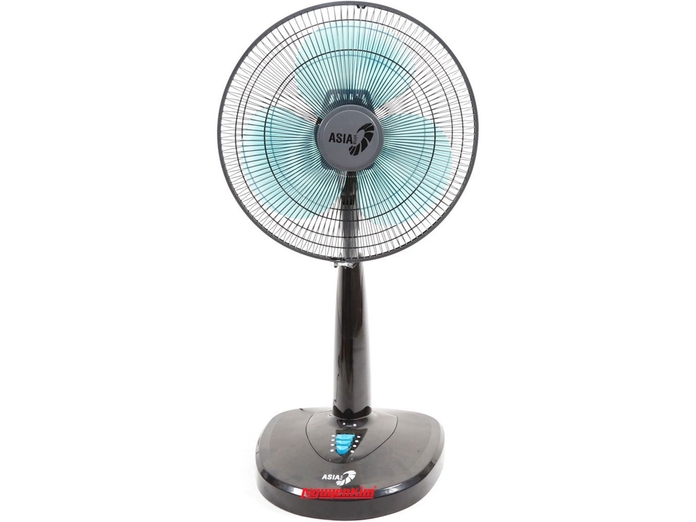 quat-lung-asia-a16011