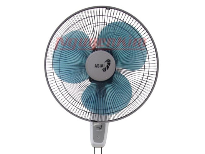 quat-treo-asia-l16017x-1