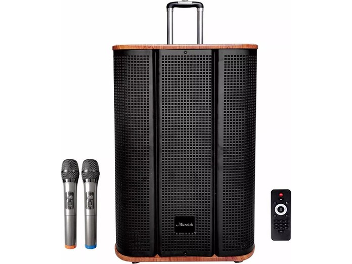 Loa kéo Microtek MTK 12-02 chính diện