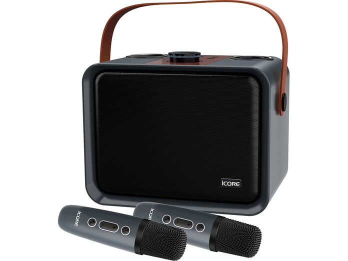 Bộ loa karaoke Icore ISM09