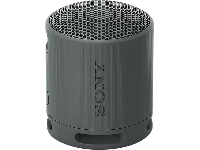 Loa Bluetooth Sony SRS-XB100 Đen