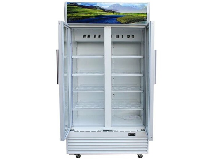 Tủ mát Sanaky VH-1009HP màu trắng giá rẻ tại Nguyễn Kim